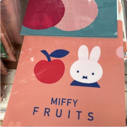 [3/13/2025-06:23-None65] Clear Miffy File