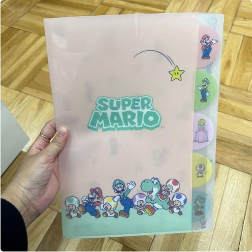 [3/13/2025-09:21-None95] Mario Index Holder A4 Size Pink 