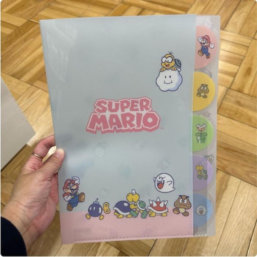[3/13/2025-09:21-None95] Mario Index Holder A4 Size Blue 