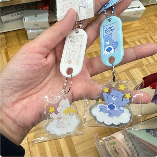 [3/13/2025-09:35-115] Keychain Name Tag Care Bears