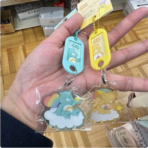 [3/13/2025-09:35-115] Keychain Name Tag Care Bears