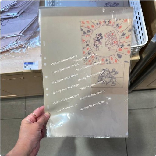 [3/13/2025-20:45-None90] A4 Clear File 