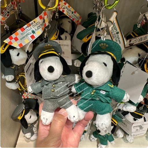 [15/03/2025-20:42-255] Keychain Mascot Snoopy Town Tokstat Gray / Green @Each