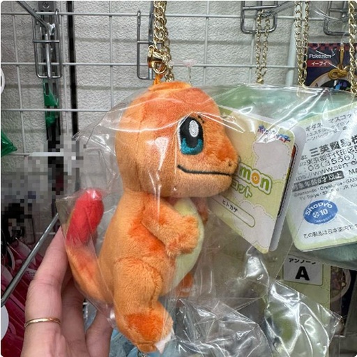 [16/03/2025-09:46-215] Bagcharm Mascot Pokemon Charmander