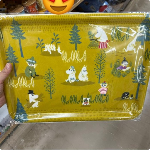 [9/28/2024-15:59-490] Moomin Melamine Tray 