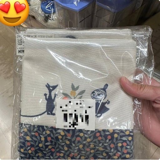 [9/28/2024-16:08-165] Moomin Lunch Pouch