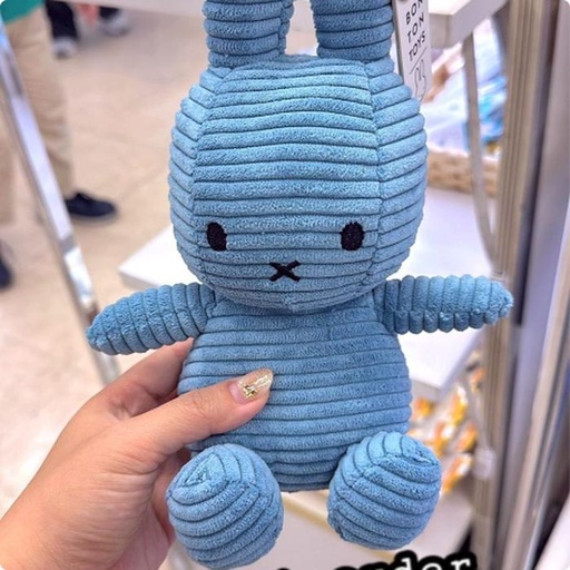 [9/29/2024-07:50-520] Corduroy Plush Miffy