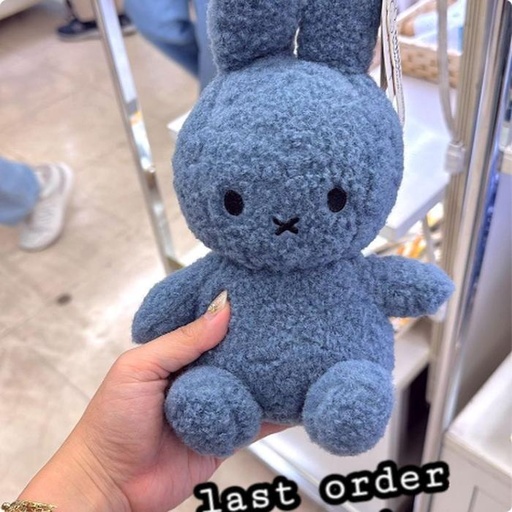 [9/29/2024-07:50-520] Plush Miffy