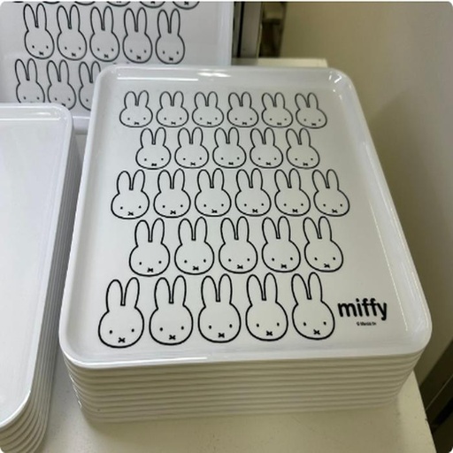 [9/29/2024-08:38-265] Miffy Melamine Tray