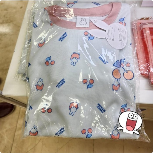[9/29/2024-08:46-790] Pyjamas Miffy