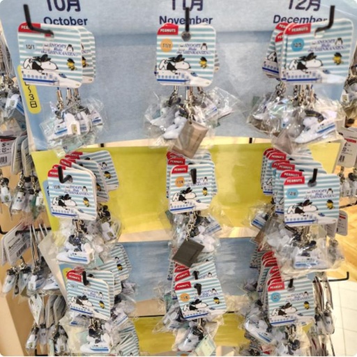 [9/29/2024-17:33-150] Special Keychain Day and Month Snoopy (can request)
