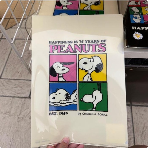 [9/29/2024-17:41-None70] Clearfile Peanuts 