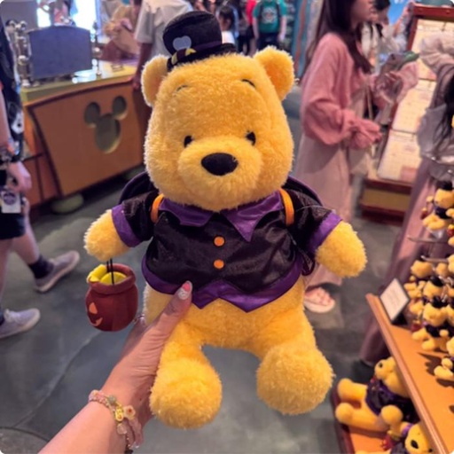 [9/30/2024-07:12-650] Halloween Plush Pooh 2024 