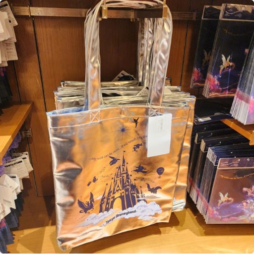 [9/30/2024-14:39-660] Big Bag Silver Metallic 