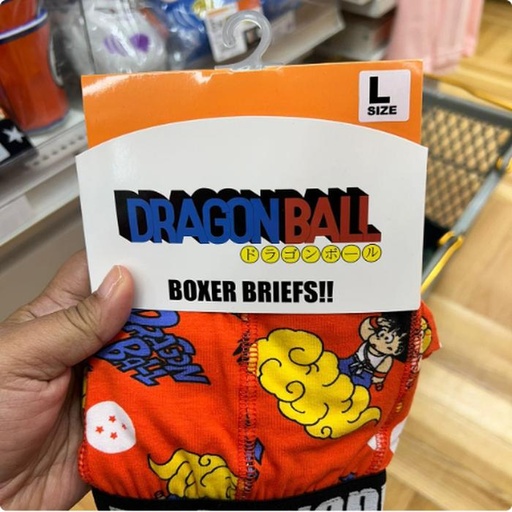 [9/30/2024-17:05-175] Adult Boxer Dragon Ball Sz L Only 
