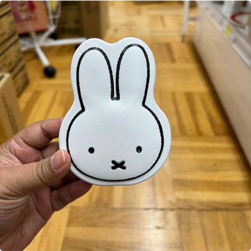 [9/30/2024-19:29-165] Memo Miffy With Tin Case