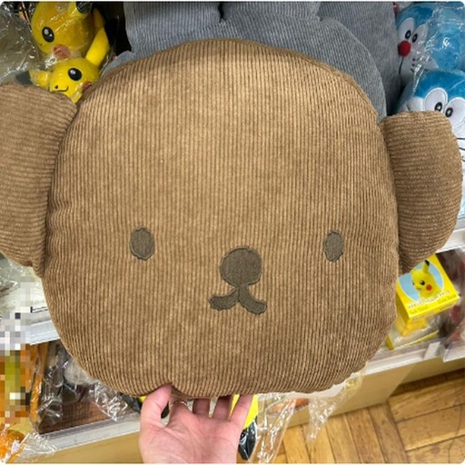 [9/30/2024-19:53-420] Boris Cushion Corduroy Brown Size is big