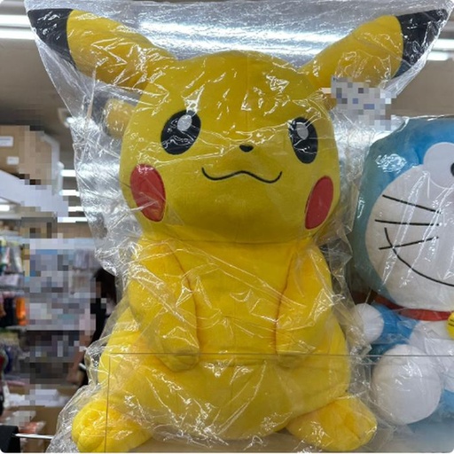 [9/30/2024-19:53-1200] Plush Pikachu 