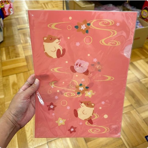 [10/1/2024-09:21-None50] Kirby A4 Clear File 