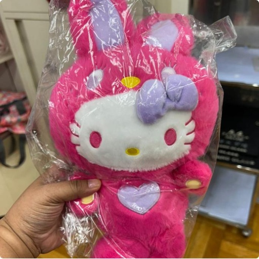 [10/1/2024-11:36-400] Push Hello Kitty