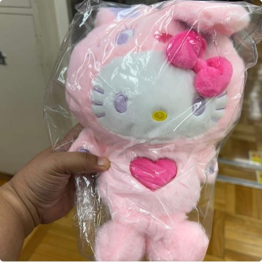 [10/1/2024-11:37-400] Push Hello Kitty