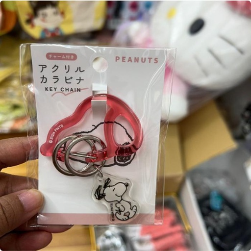 [10/1/2024-14:00-135] Karabiner Ganci Snoopy Cool Red 