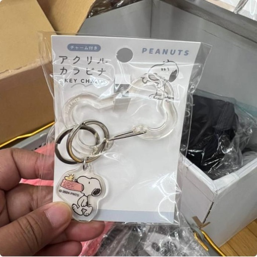 [10/1/2024-14:00-135] Karabiner Ganci Snoopy Cool White 