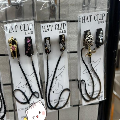 [10/2/2024-16:15-175] Hat clip, make a hat so as not to fly if you get the wind