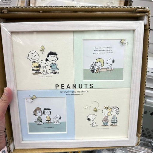 [10/2/2024-17:22-720] Snoopy Big frame photo