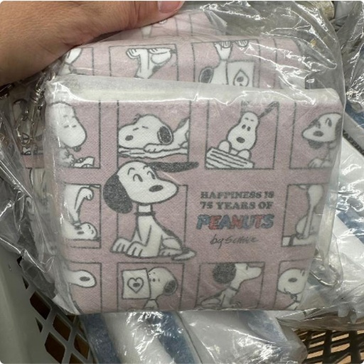 [10/2/2024-18:46-110] Snoopy pouch 75th