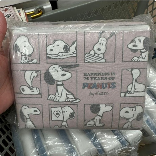 [10/2/2024-18:50-165] Snoopy Big Pouch 75th Motif