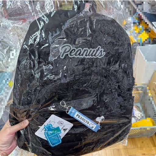 [10/2/2024-19:40-895] Snoopy Backpack Sale