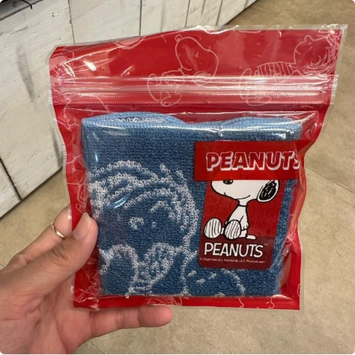 [10/4/2024-07:02-100] Snoopy Mintow Blue