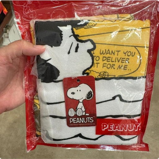[10/4/2024-07:30-190] Lucy Face Towel