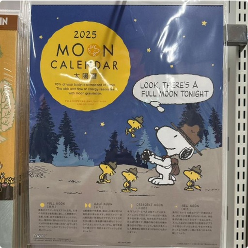 [10/4/2024-08:22-235] Snoopy Moon Wall Calendar 2025