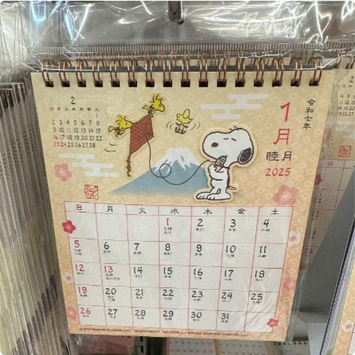 [10/4/2024-08:33-190] Snoopy ring calendar 2025 