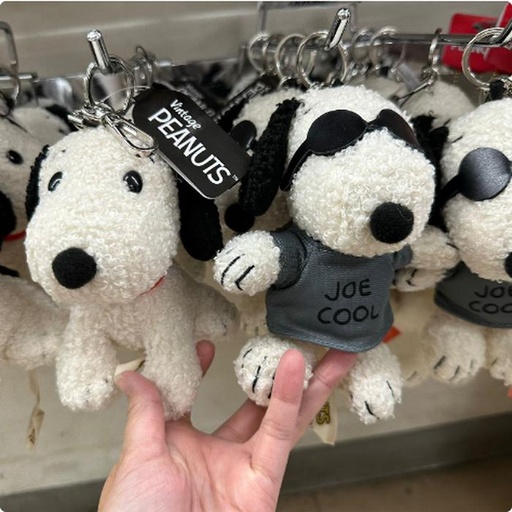 [10/4/2024-09:09-315] Keychain Mascot Snoopy
