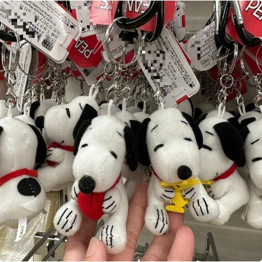 [10/4/2024-09:09-240] Keychain Mascot Snoopy Love