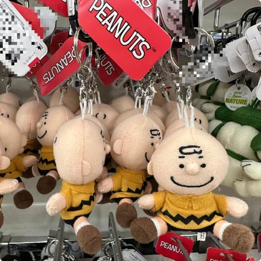 [10/4/2024-09:09-240] Charlie Keychain Mascot