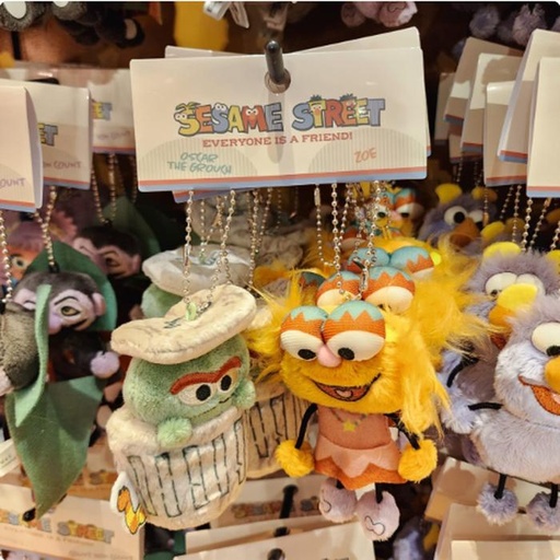 [10/4/2024-11:30-380] Sesame Street Strap Duo 