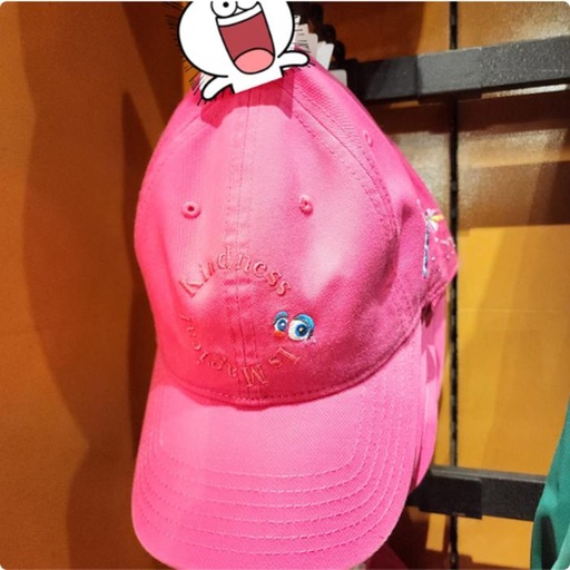 [10/4/2024-11:37-590] SS Cap 