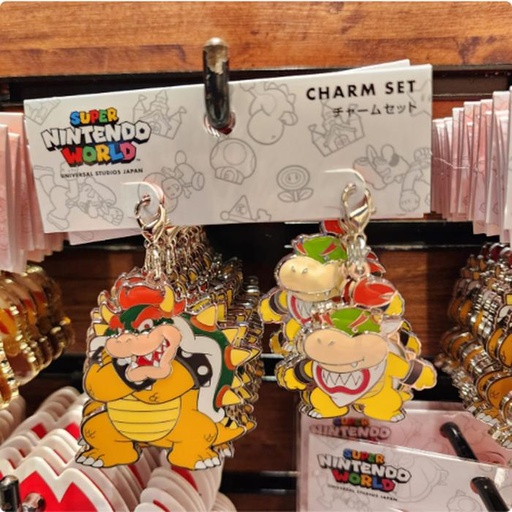 [10/4/2024-11:40-300] Pair Charm Mario 