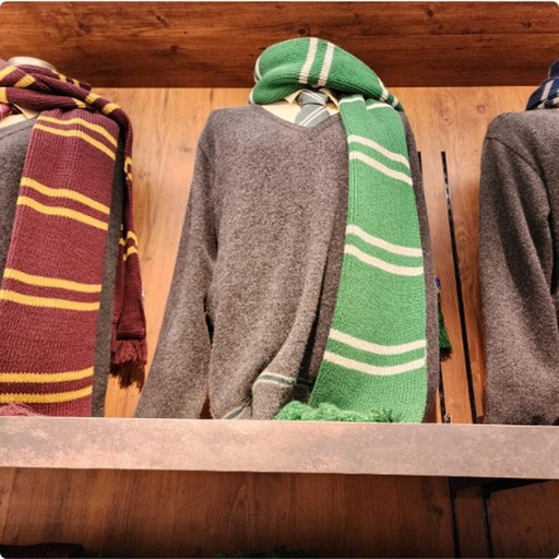 [10/4/2024-12:13-800] Scarf warm Harry Potter @each