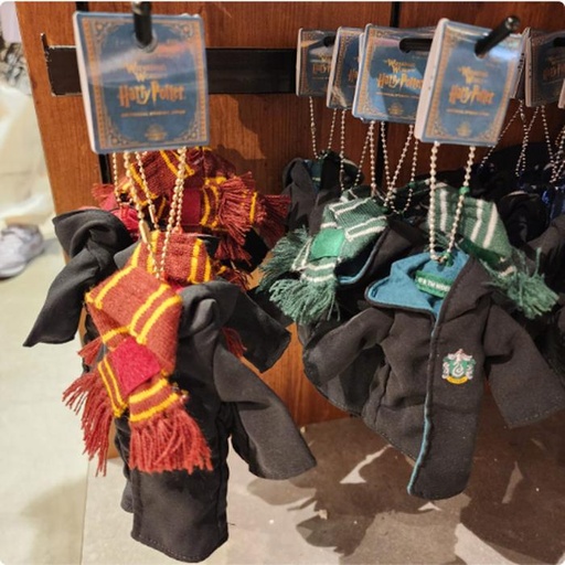[10/4/2024-12:13-370] Keychain House Shape of Clothes @Each