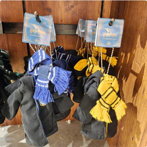 [10/4/2024-12:13-370] Keychain House Shape of Clothes @Each