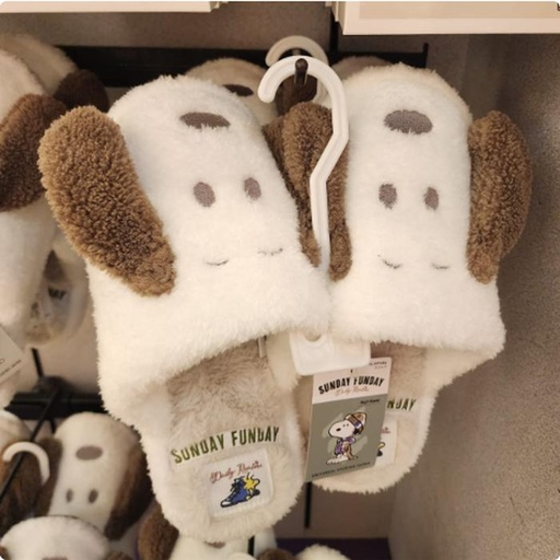 [10/4/2024-12:44-500] Snoopy funday Room Slipper 