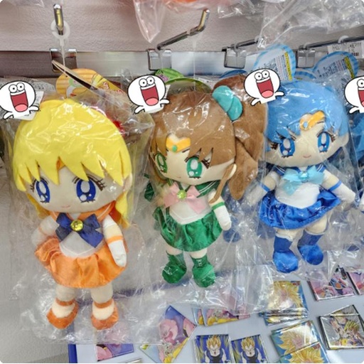[10/4/2024-16:21-330] Strap sailormoon @each