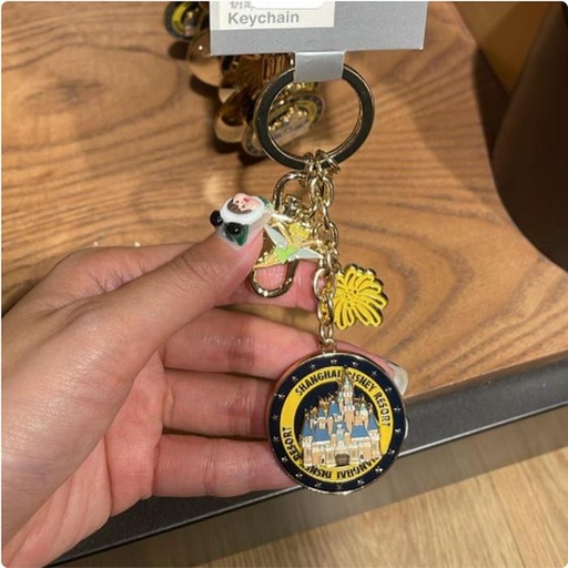 [10/14/2024-08:41-240] Keychain SHDR