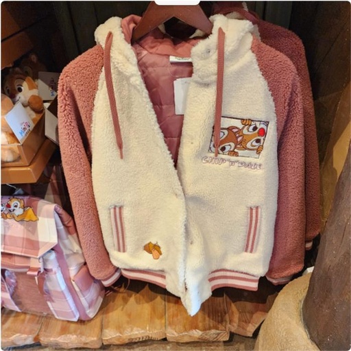 [10/14/2024-09:38-None1700] Sherpa jacket really thick chip dale