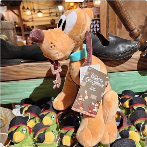 [10/14/2024-17:47-620] Plush Pluto Exclusive Pirates 